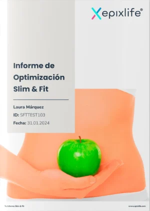 Informe de Optimización Slim & Fit