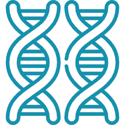 dna (1)
